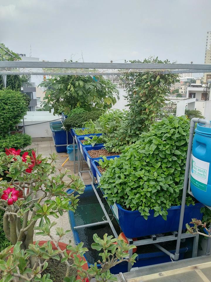 Toan-canh-he-aquaponics-san-thuong_2