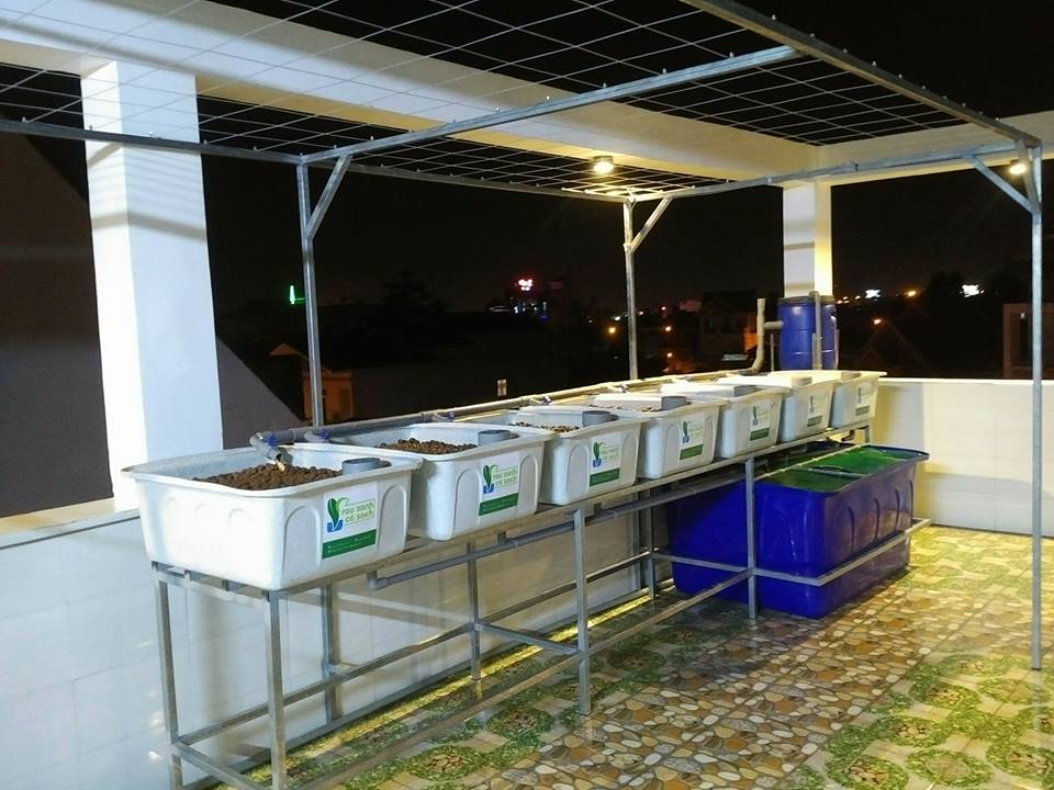 he-aquaponics-doi-14-khay-rau-100l_1