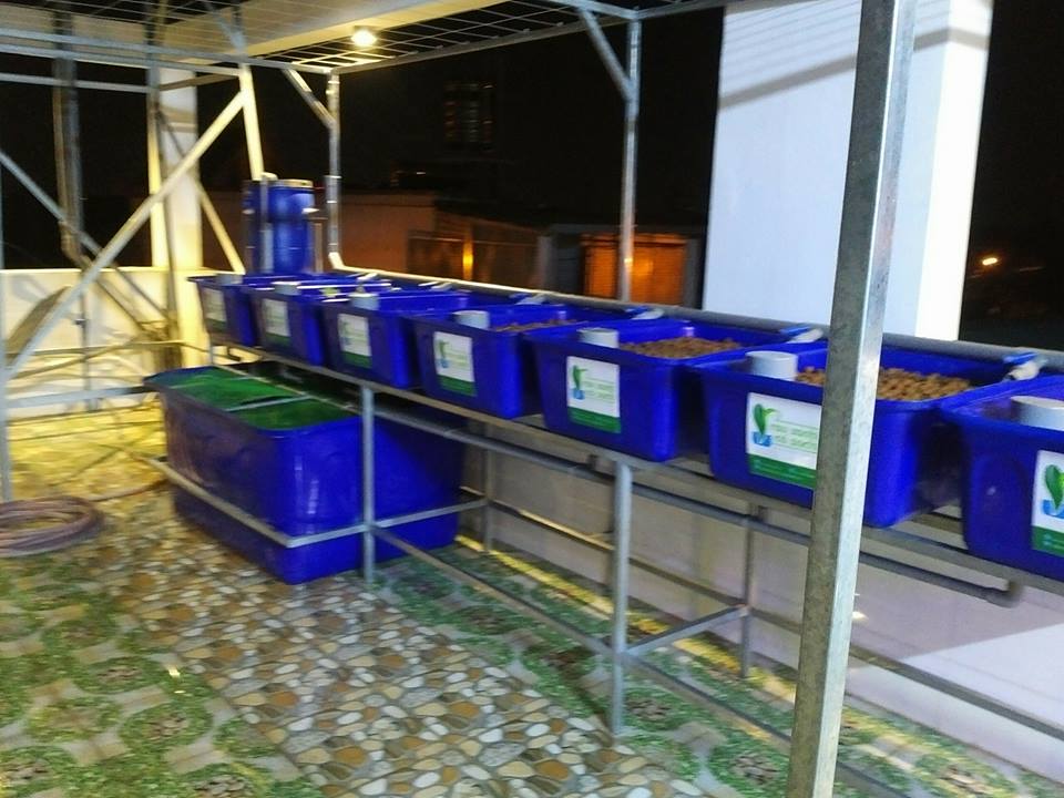 he-aquaponics-doi-14-khay-rau-100l_2