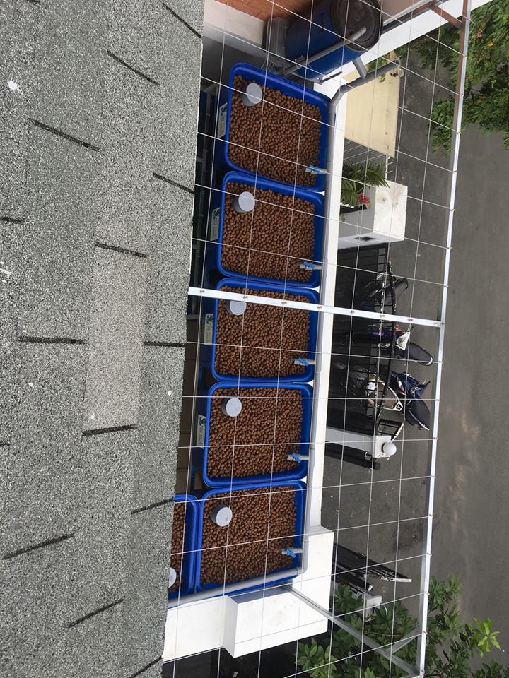 he-aquaponics-6-khay-rau-100L-biet-thu-phu-gia-pmh
