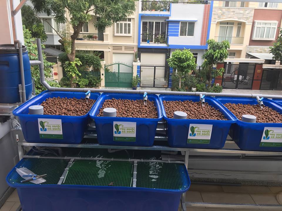 he-aquaponics-6-khay-rau-100L-biet-thu-phu-gia-pmh_1