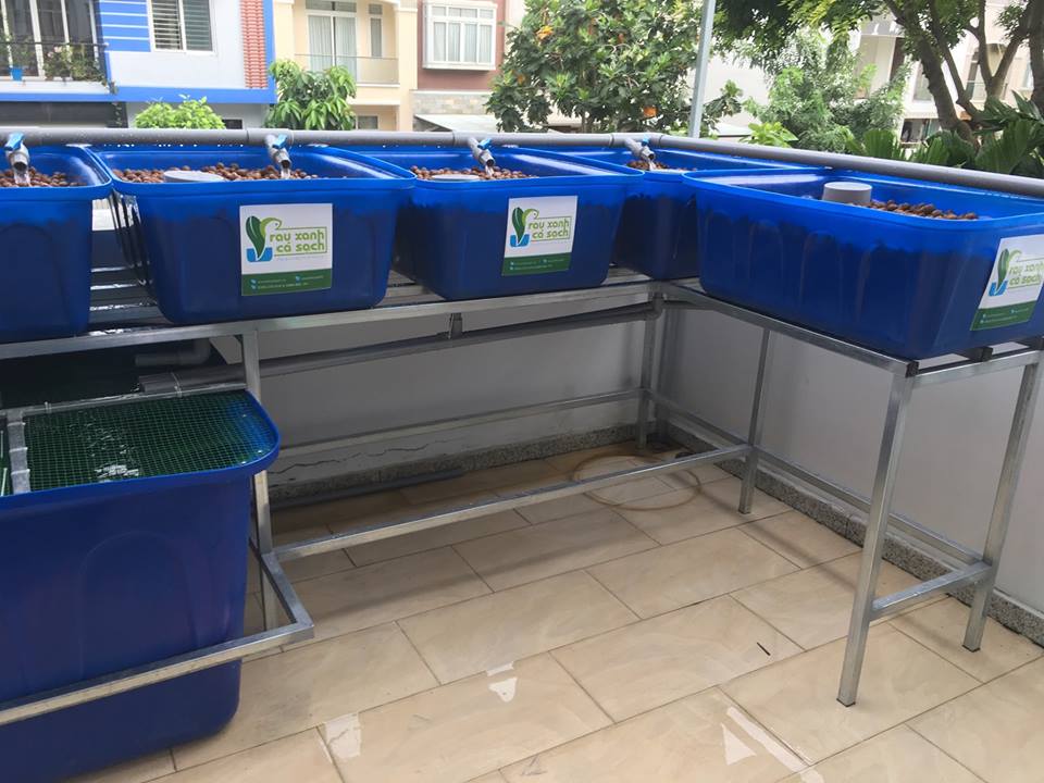 he-aquaponics-6-khay-rau-100L-biet-thu-phu-gia-pmh_2