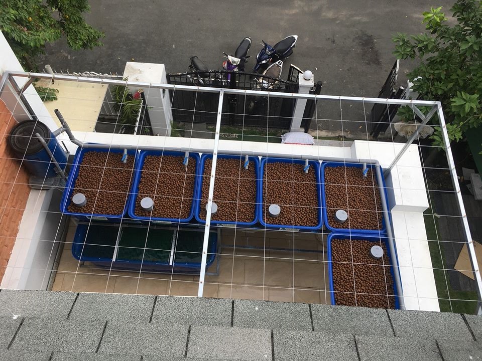 he-aquaponics-6-khay-rau-100L-biet-thu-phu-gia-pmh_3