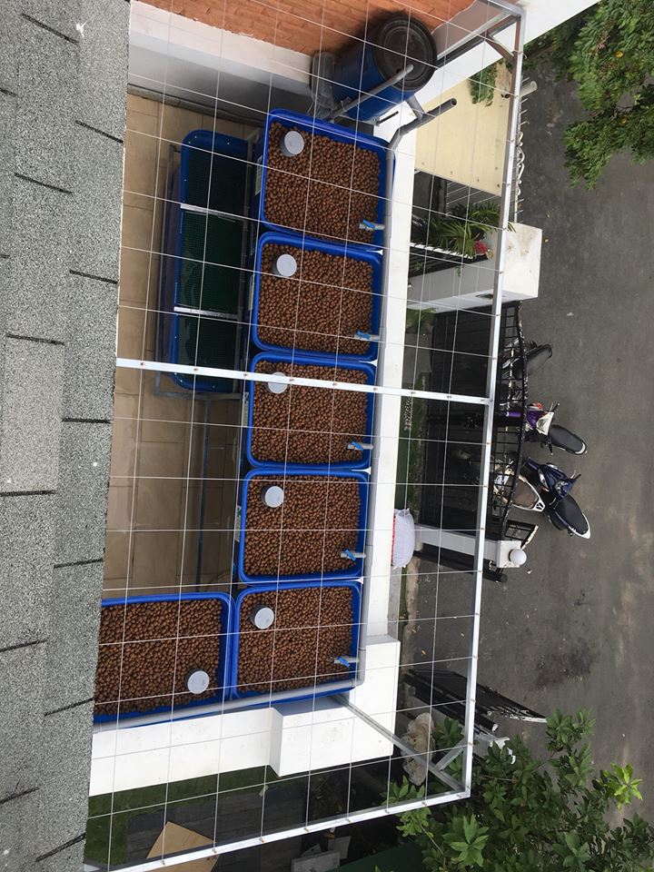 he-aquaponics-6-khay-rau-100L-biet-thu-phu-gia-pmh_3