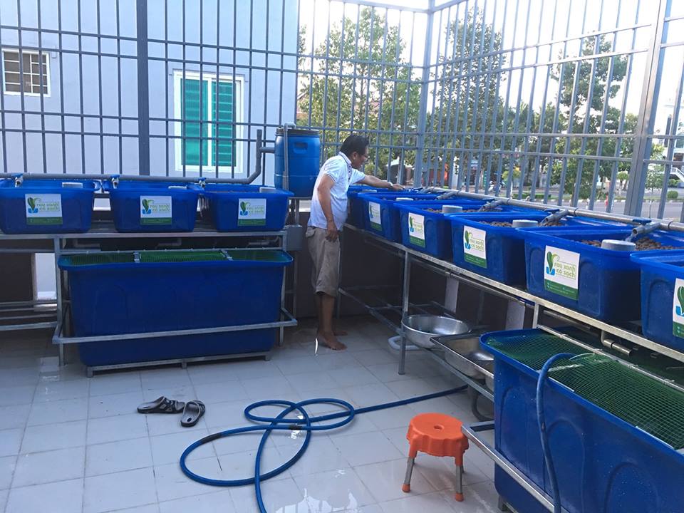 he-doi-aquaponics-12-khay-rau-100-tai-ba-ria