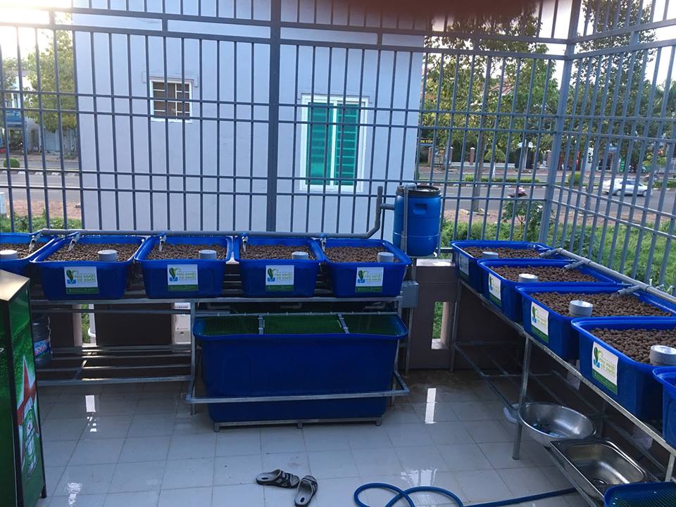 he-doi-aquaponics-12-khay-rau-100-tai-ba-ria_1